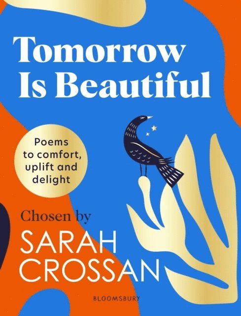 Sarah Crossan - Tomorrow Is Beautiful, E-bok