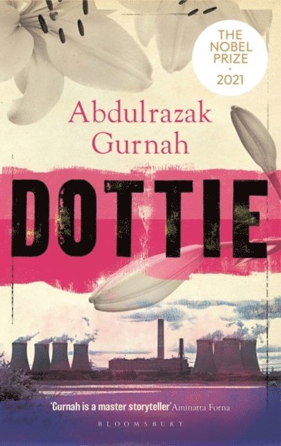 Abdulrazak Gurnah - Dottie, E-bok