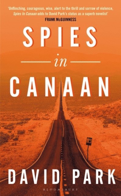 David Park - Spies in Canaan, E-bok