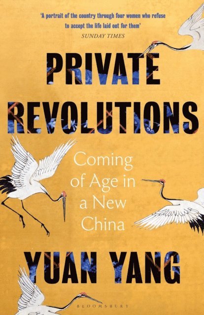 Yuan Yang - Private Revolutions, E-bok