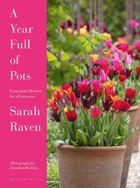Year Full of Pots