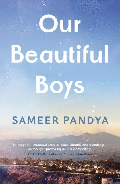Sameer Pandya - Our Beautiful Boys, E-bok