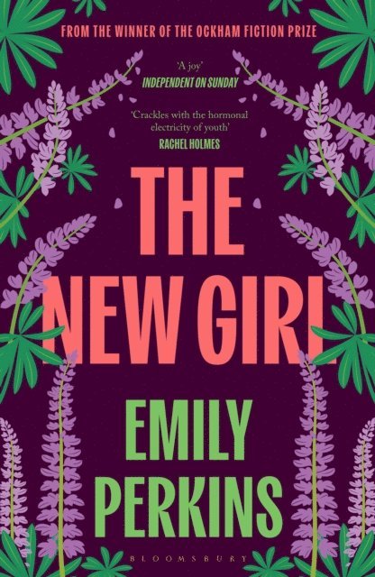Emily Perkins - New Girl, E-bok