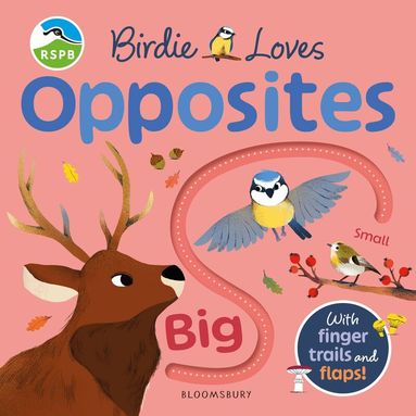 RSPB - RSPB Birdie Loves Opposites, Kartonnage