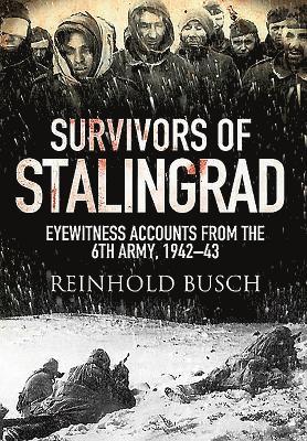 Survivors of Stalingrad av Reinhold Busch