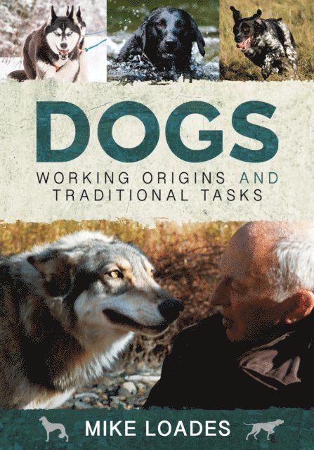 Mike Loades - Dogs, E-bok. Tillgänglighet: Lägg i varukorg
