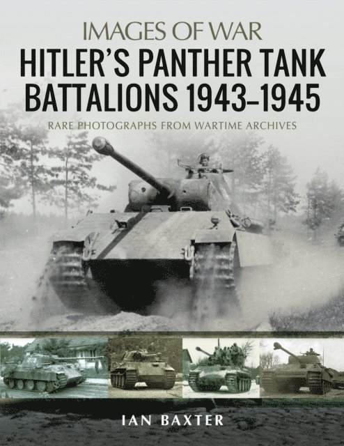 Ian Baxter - Hitler's Panther Tank Battalions, 1943-1945, E-bok