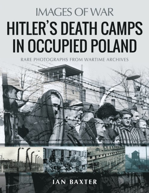 Ian Baxter - Hitler's Panther Tank Battalions, 1943-1945, E-bok