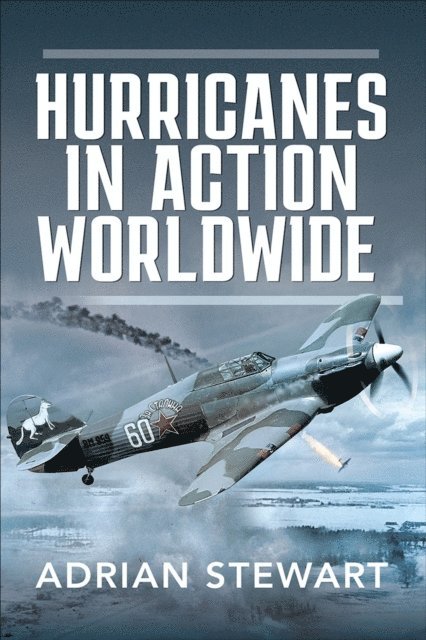 Adrian Stewart - Hurricanes in Action Worldwide!, E-bok
