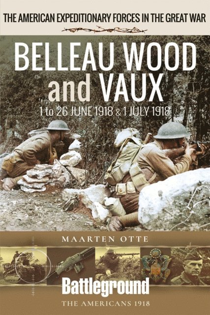 Maarten Otte - Belleau Wood and Vaux, E-bok