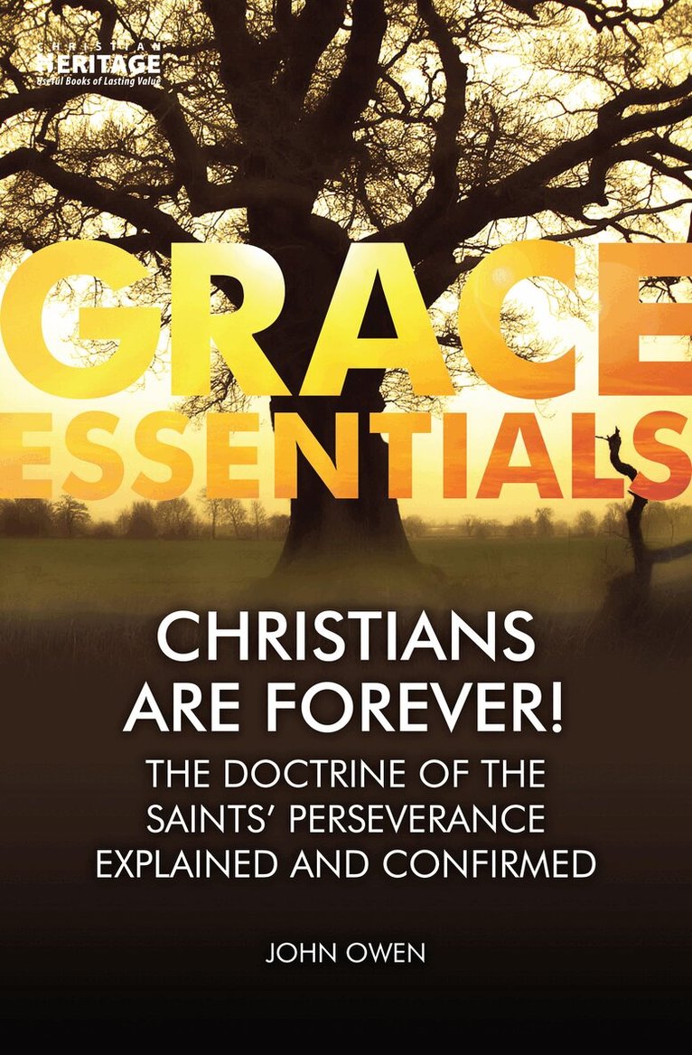 John Owen - Christians Are Forever!, Häftad