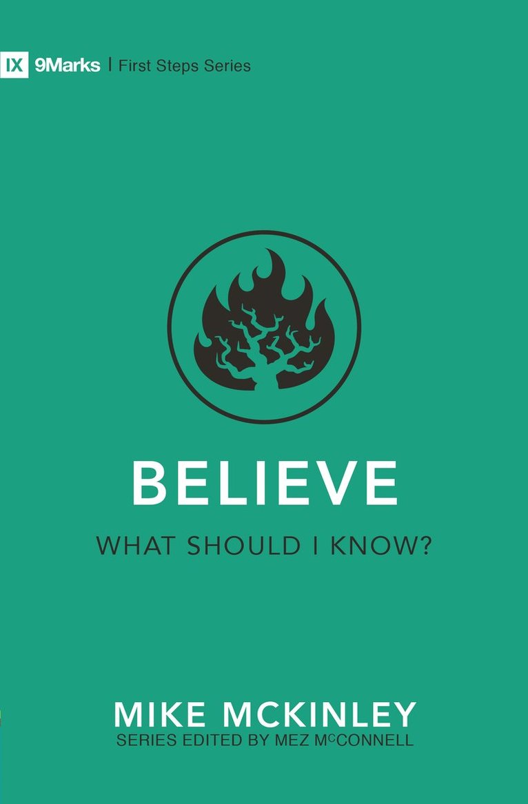 Mike McKinley - Believe - What Should I Know?, Häftad