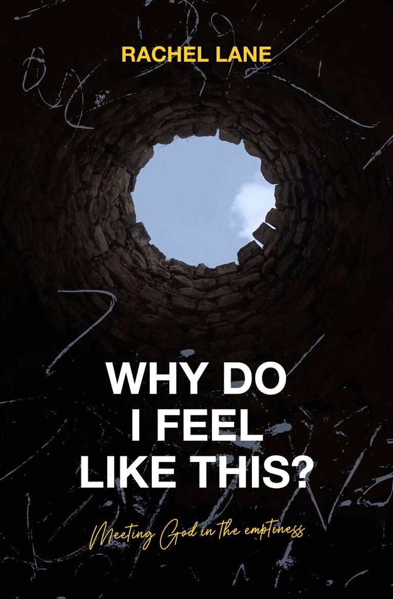 Rachel Lane - Why Do I Feel Like This?, Häftad. Tillgänglighet: Lägg i varukorg