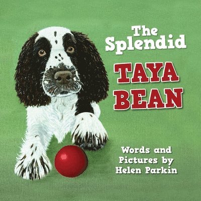 Helen Parkin - The Splendid Taya Bean, Häftad