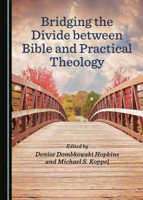 Michael S. Koppel, Denise Dombkowski Hopkins, Michael S. Koppel - Bridging the Divide between Bible and Practical Theology, Inbunden