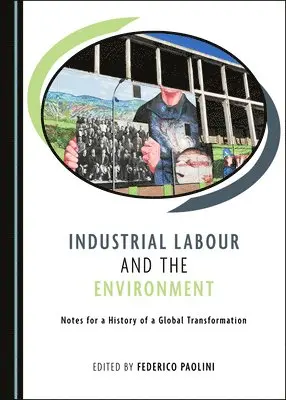 Federico Paolini - Industrial Labour and the Environment, Inbunden. Tillgänglighet: Lägg i varukorg