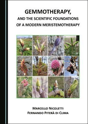Marcello Nicoletti, Fernando Piterà di Clima - Gemmotherapy, and the Scientific Foundations of a Modern Meristemotherapy, Inbunden. Tillgänglighet: Tillfälligt slut