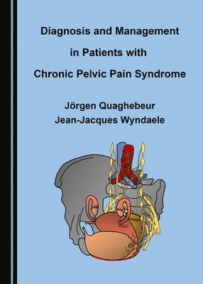 Jörgen Quaghebeur, Jean-Jacques Wyndaele - Diagnosis and Management in Patients with Chronic Pelvic Pain Syndrome, Inbunden