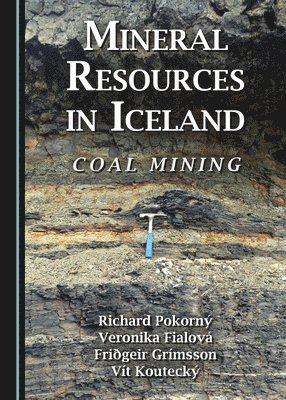 Richard Pokorný, Veronika Fialová, Friðgeir Grímsson - Mineral Resources in Iceland, Inbunden. Tillgänglighet: Tillfälligt slut