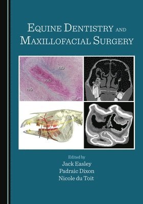 Jack Easley, Padraic Dixon, Nicole du Toit - Equine Dentistry and Maxillofacial Surgery, Häftad