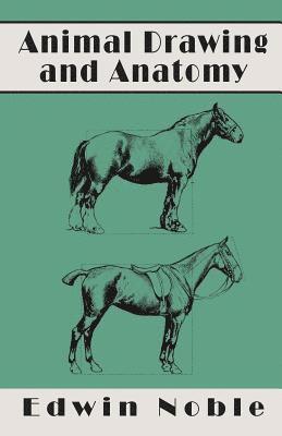 Edwin Noble - Animal Drawing and Anatomy, Häftad. Tillgänglighet: Lägg i varukorg