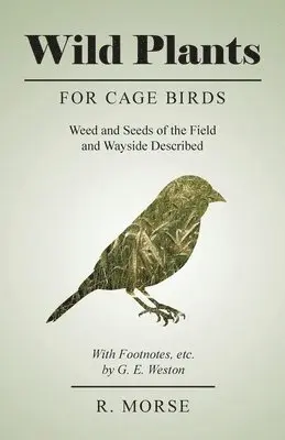 R Morse - Wild Plants for Cage Birds - Weed and Seeds of the Field and Wayside Described - With Footnotes, etc., by G. E. Weston, Häftad. Tillgänglighet: Lägg i varukorg
