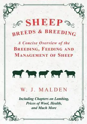 Sheep Breeds and Breeding - A Concise Overview of the Breeding, Feeding and Management of Sheep, Including Chapters on Lambing, Prices of Wool, Health, and Much More