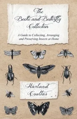 Harland Coultas - Beetle and Butterfly Collection - A Guide to Collecting, Arranging and Preserving Insects at Home, Häftad. Tillgänglighet: Lägg i varukorg