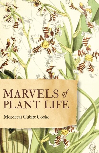 Mordecai Cubitt Cooke - Marvels of Plant Life, E-bok