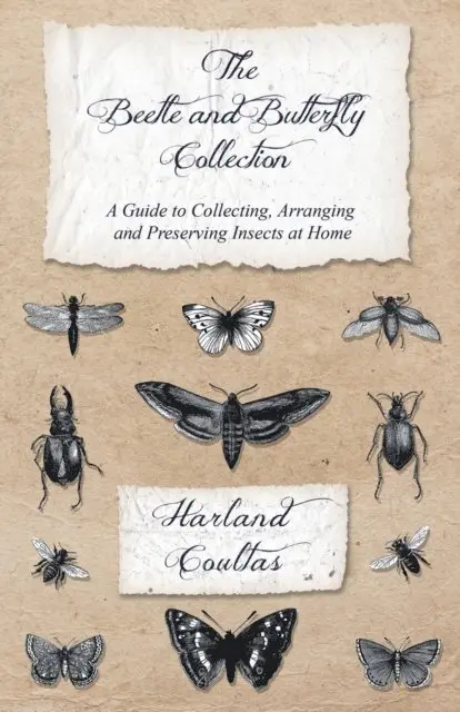 Harland Coultas - Beetle and Butterfly Collection - A Guide to Collecting, Arranging and Preserving Insects at Home, E-bok. Tillgänglighet: Lägg i varukorg