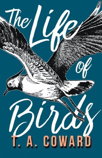 T. A. Coward - Life of Birds, E-bok