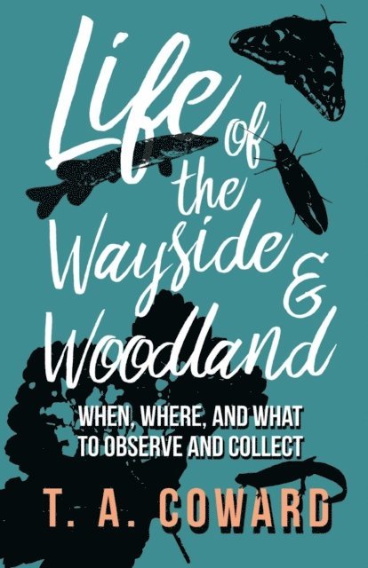 T. A. Coward - Life of the Wayside and Woodland, E-bok