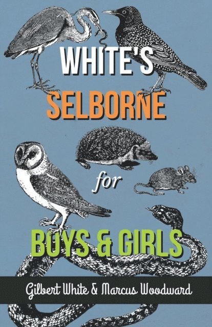 Marcus Woodward, Gilbert White - White's Selborne for Boys and Girls, E-bok
