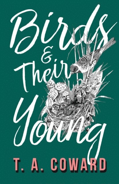 T. A. Coward - Birds and Their Young, E-bok