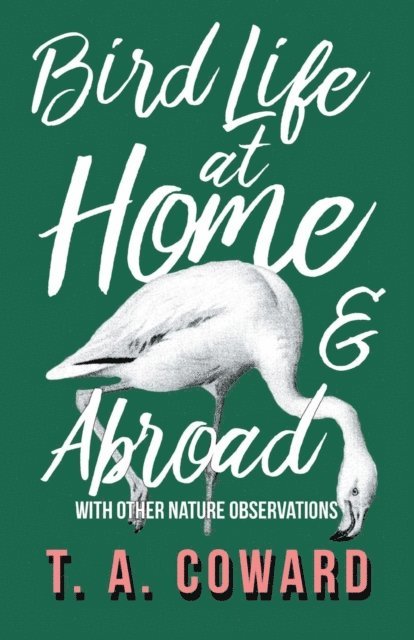 T. A. Coward - Bird Life at Home and Abroad - With Other Nature Observations, E-bok