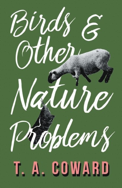 T. A. Coward - Bird and Other Nature Problems, E-bok
