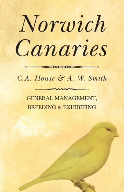 A. W. Smith, C. A. House - Norwich Canaries, E-bok. Tillgänglighet: Lägg i varukorg