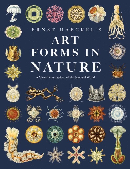 Ernst Haeckel - Ernst Haeckel's Art Forms in Nature, E-bok