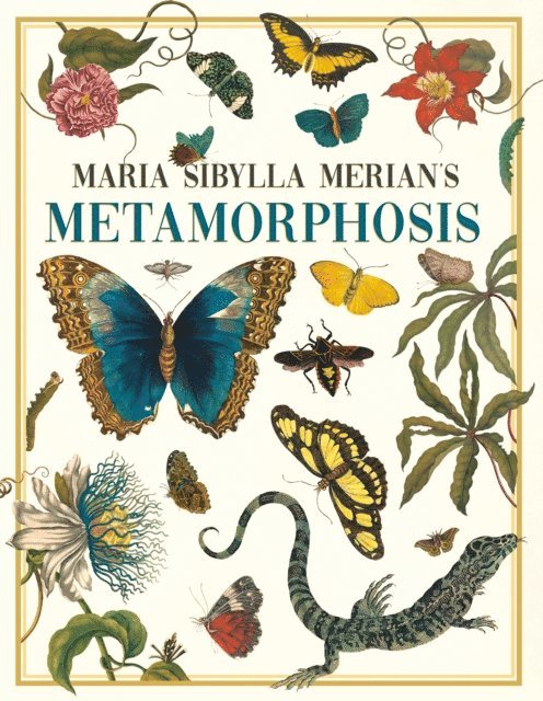 Maria Sibylla Merian, Emily Gillis - Maria Sibylla Merian's Metamorphosis, E-bok