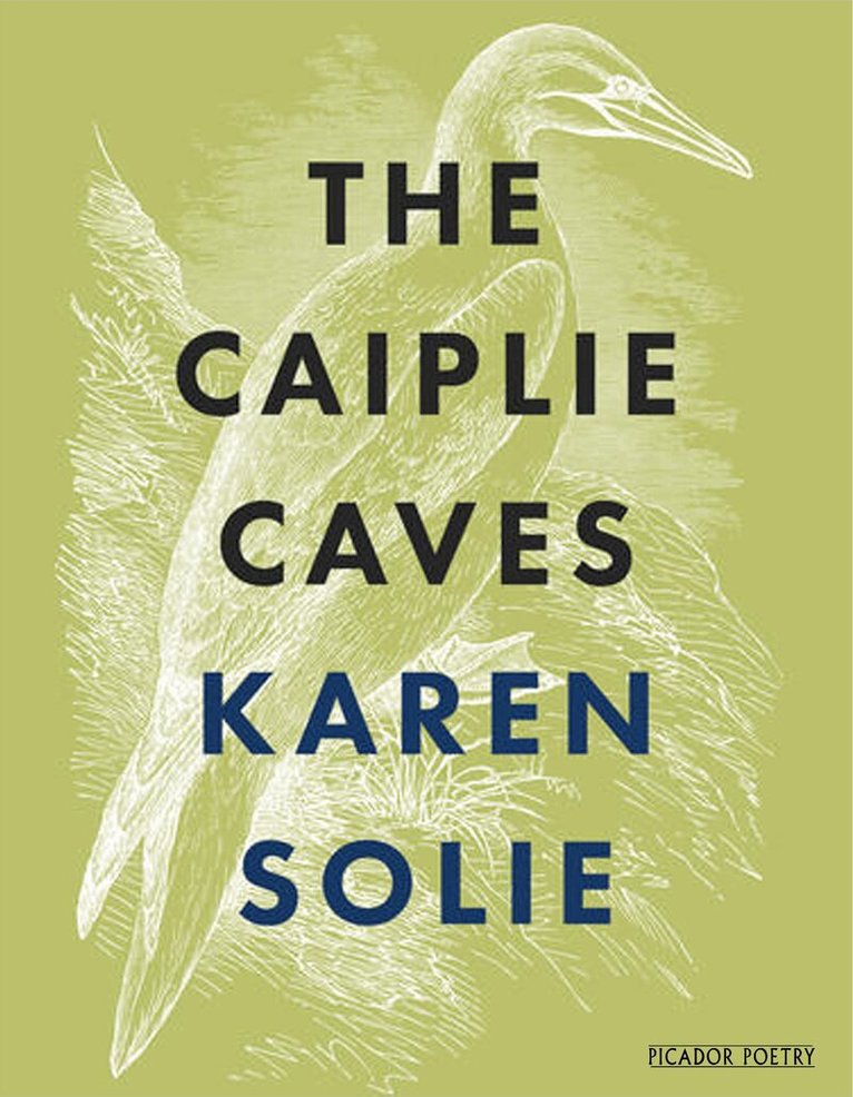 Karen Solie - Caiplie Caves, E-bok