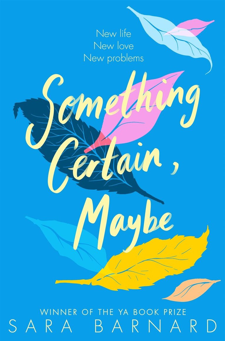 Sara Barnard - Something Certain, Maybe, E-bok