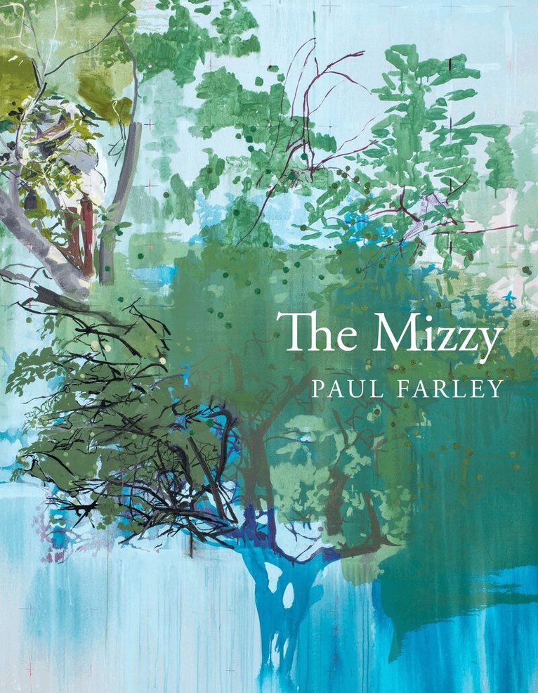 Paul Farley - Mizzy, E-bok