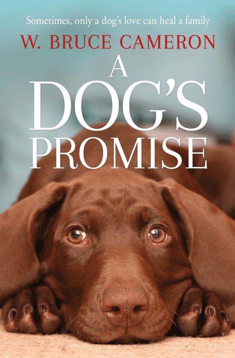 W. Bruce Cameron - Dog's Promise, E-bok