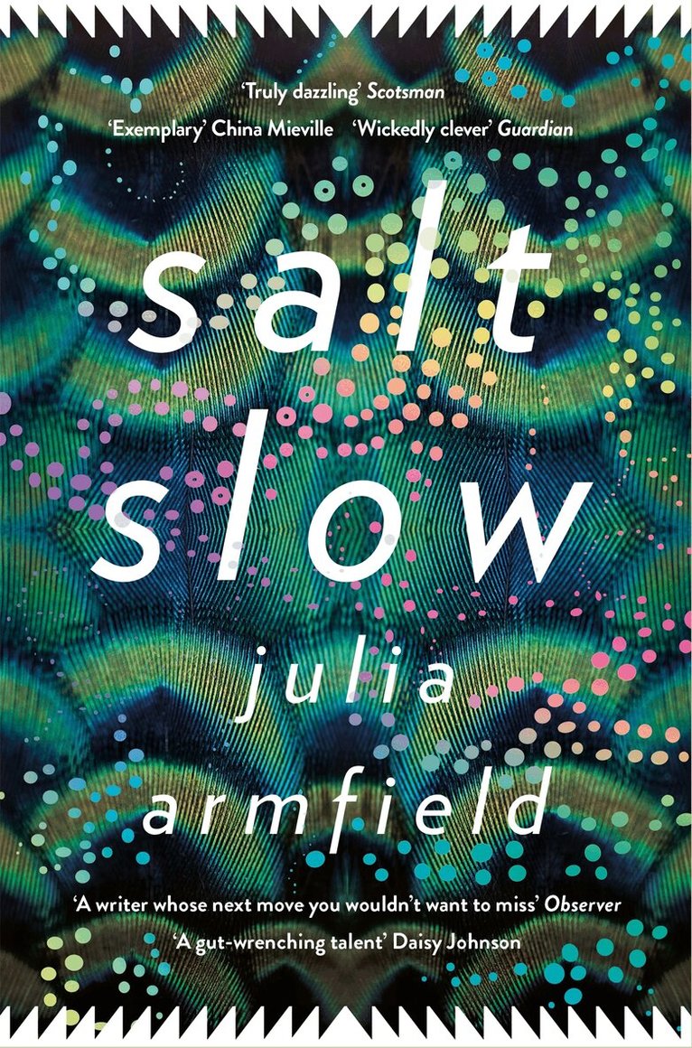 Julia Armfield - Salt Slow, E-bok