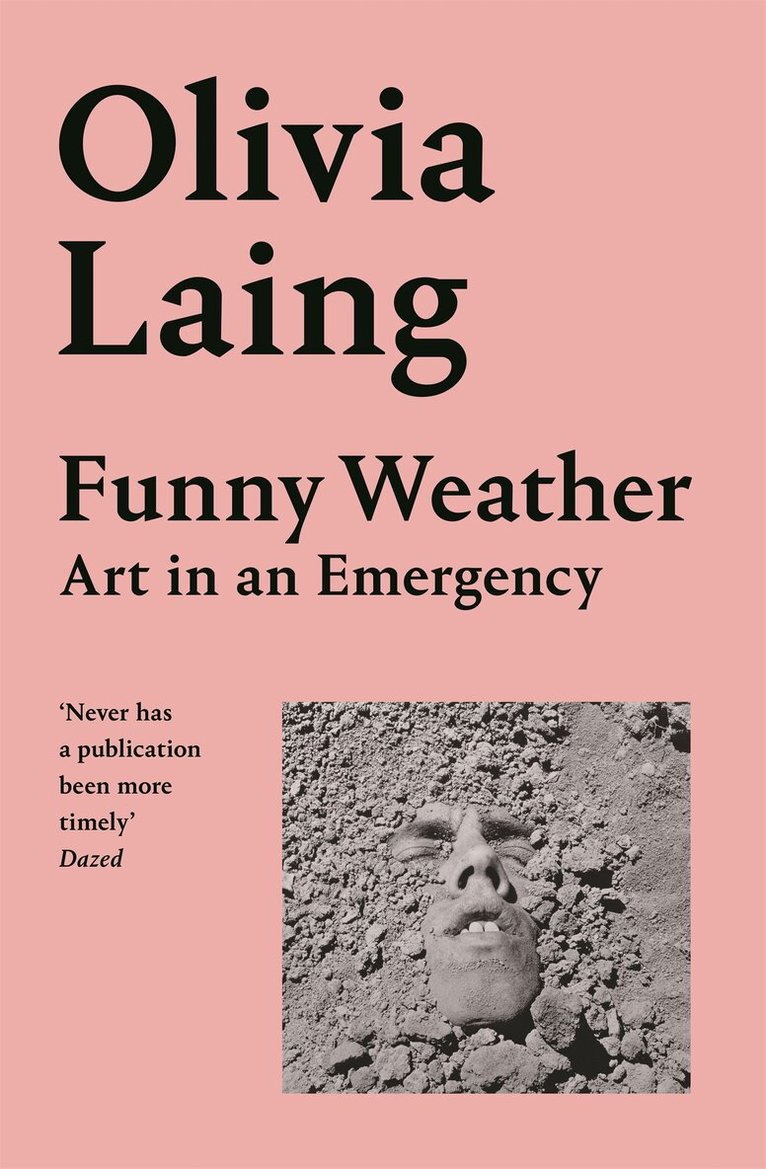 Olivia Laing - Funny Weather, E-bok
