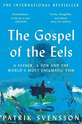 Gospel of the Eels av Patrik Svensson