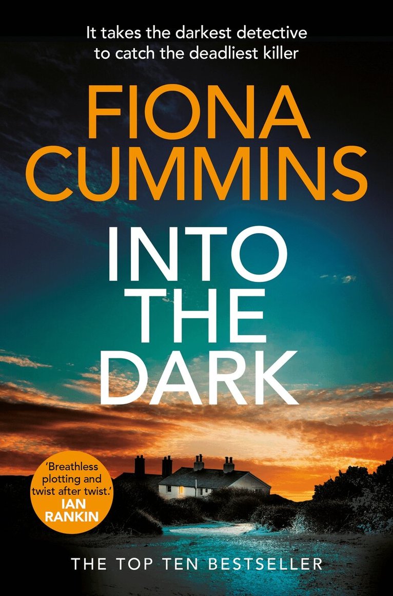 Fiona Cummins - Into the Dark, E-bok