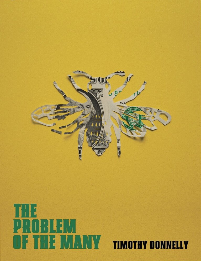 Timothy Donnelly - Problem of the Many, E-bok