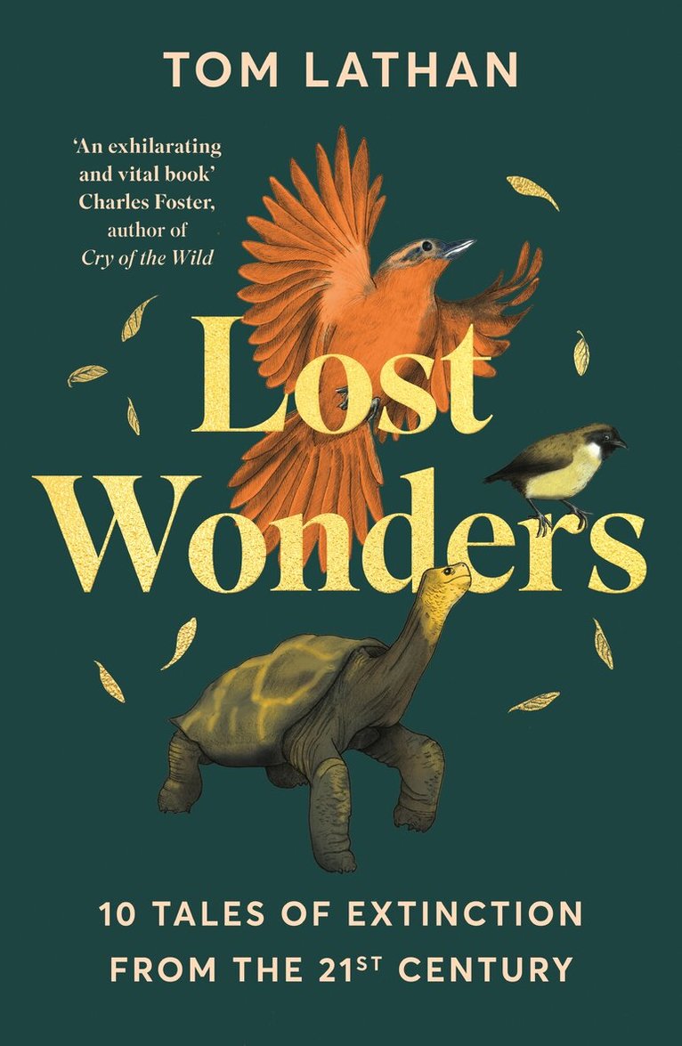 Tom Lathan - Lost Wonders, E-bok. Tillgänglighet: Lägg i varukorg