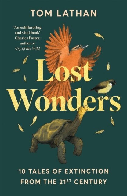 Tom Lathan - Lost Wonders, Häftad. Tillgänglighet: Lägg i varukorg